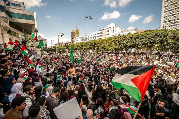 تظاهرات حاشدة في تونس تنديدا بالعدوان على غزة 