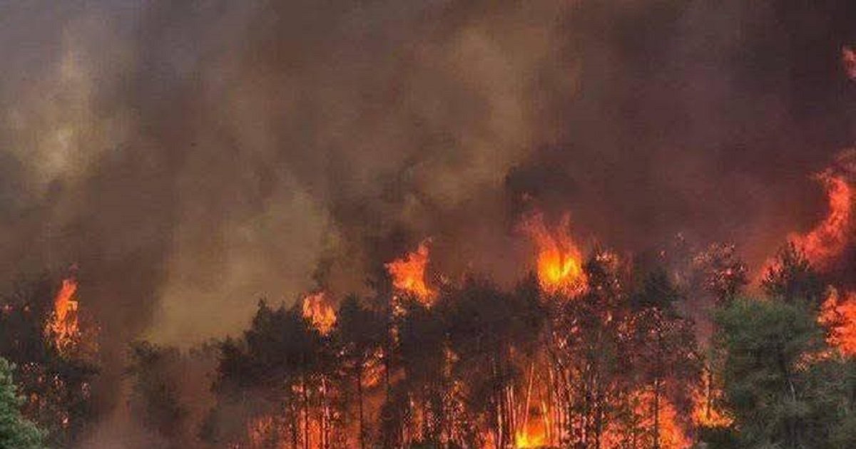 الحرائق في إسرائيل وغزة : تصعيد ميداني أم تكتيك عسكري جديد ؟