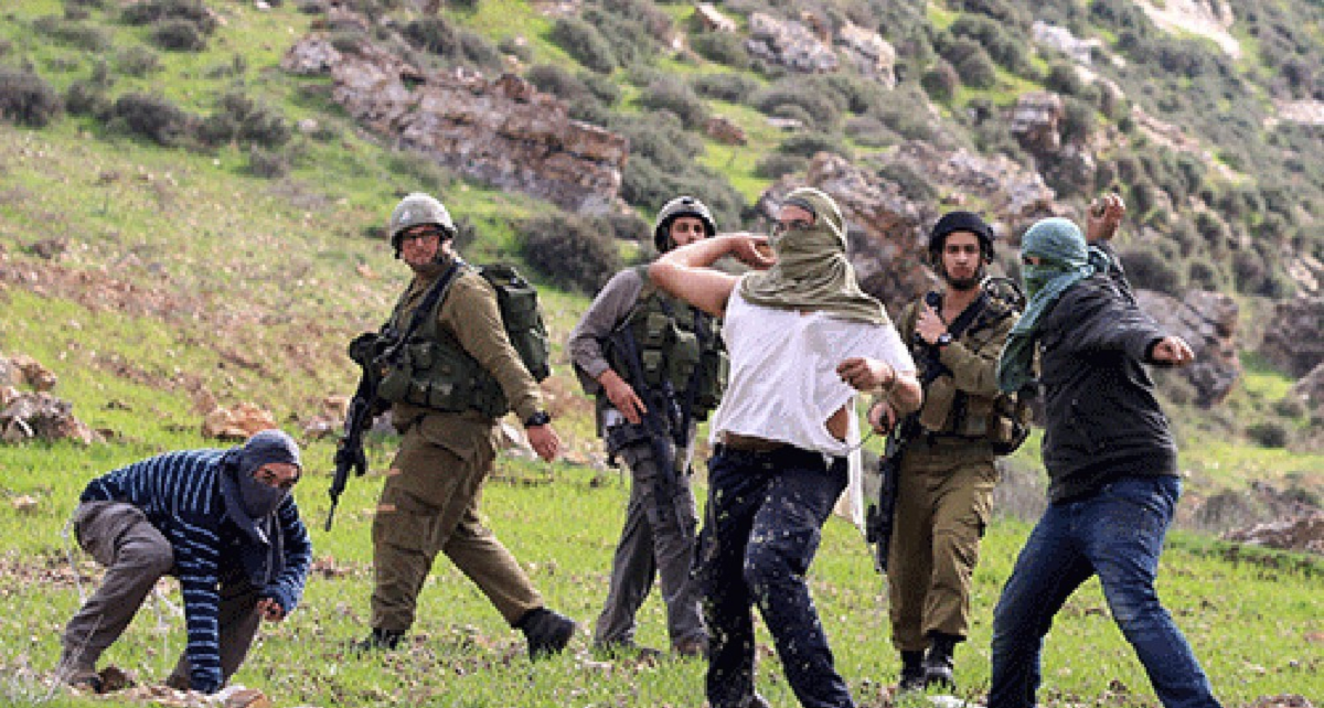 المنظمات الاهلية: الضفة أرض مستباحة وخطة الضم تلتهمها بالكامل لصالح المشروع الاستعماري