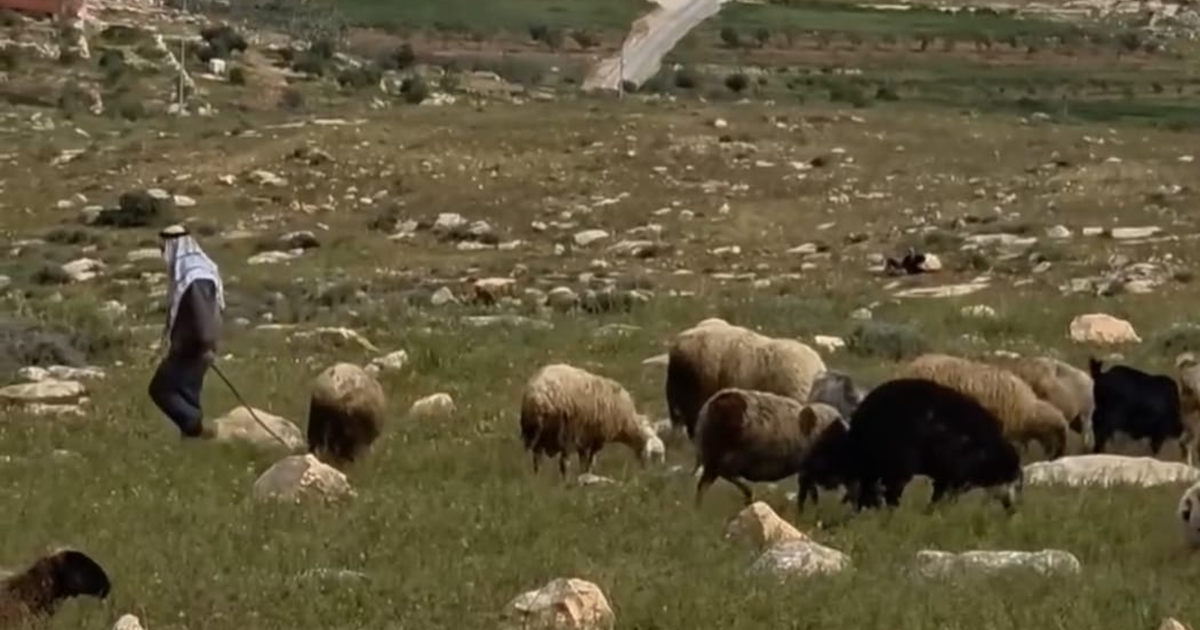 العدرة : مسافر يطا فريسة يومية للاحتلال والمستوطنين 