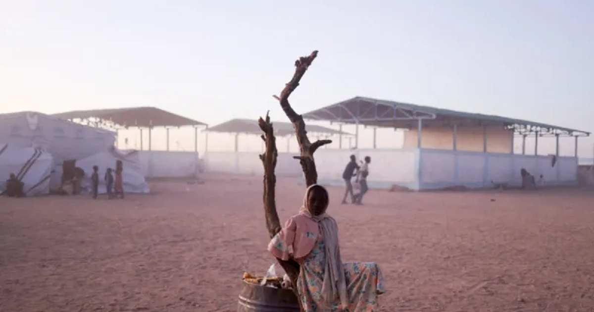 الأمم المتحدة : أكثر من مليون لاجئ سوداني في تشاد يواجهون خفضا حادا في المساعدات