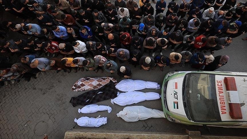 الطبيب شحادة:  تمكنّا من التعرف على 10 جثث فقط من بين 450 جثة متكدسة بمشفى الشفاء