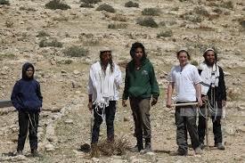 إصابة مواطنة حامل برضوض في هجوم للمستوطنين على مسافر يطا