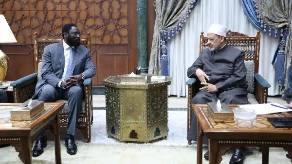 شيخ الأزهر: الشعب الفلسطيني يتعرض لإبادة جماعية وتطهير عرقي