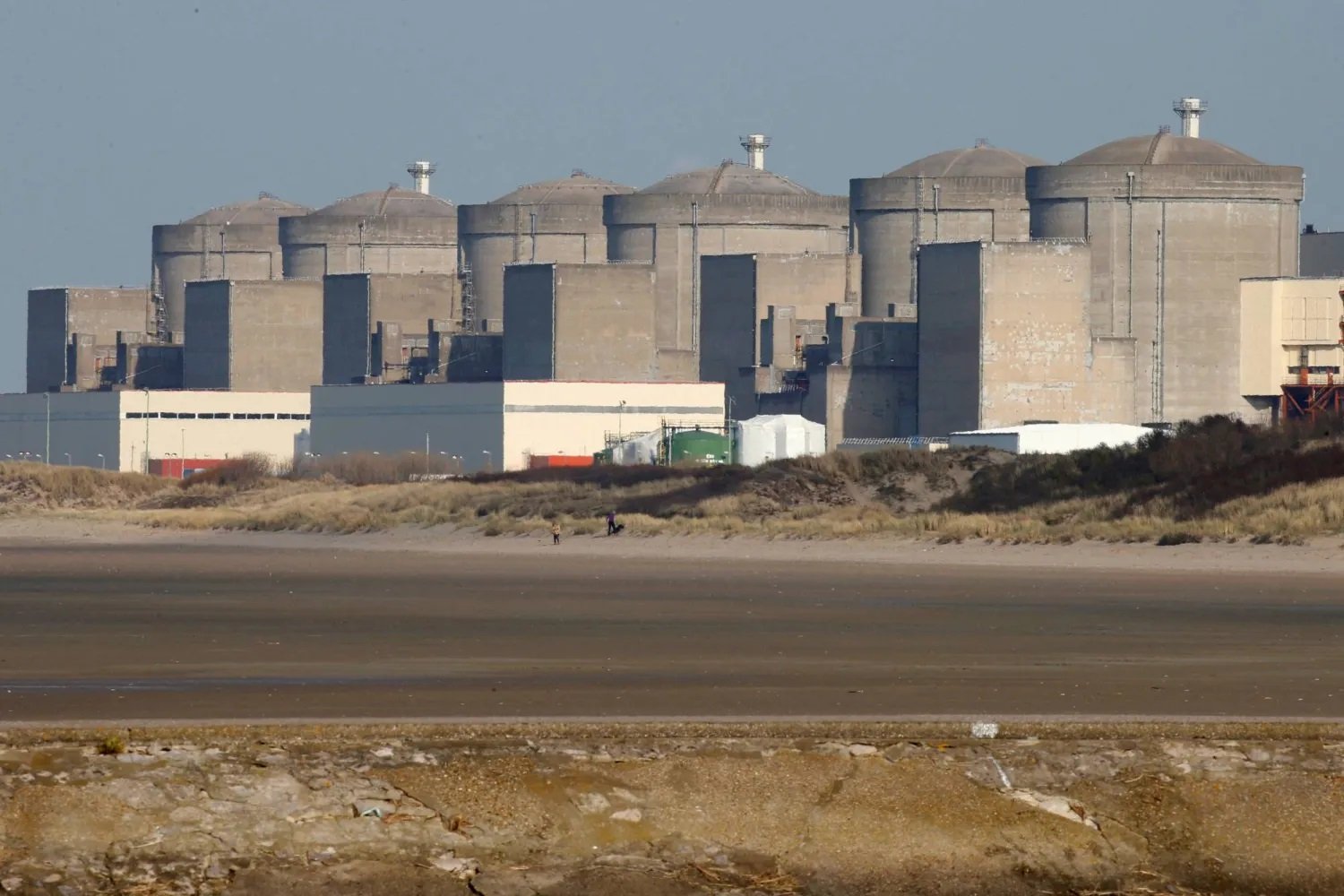 قناديل البحر تتسبب بإغلاق محطة نووية فرنسية