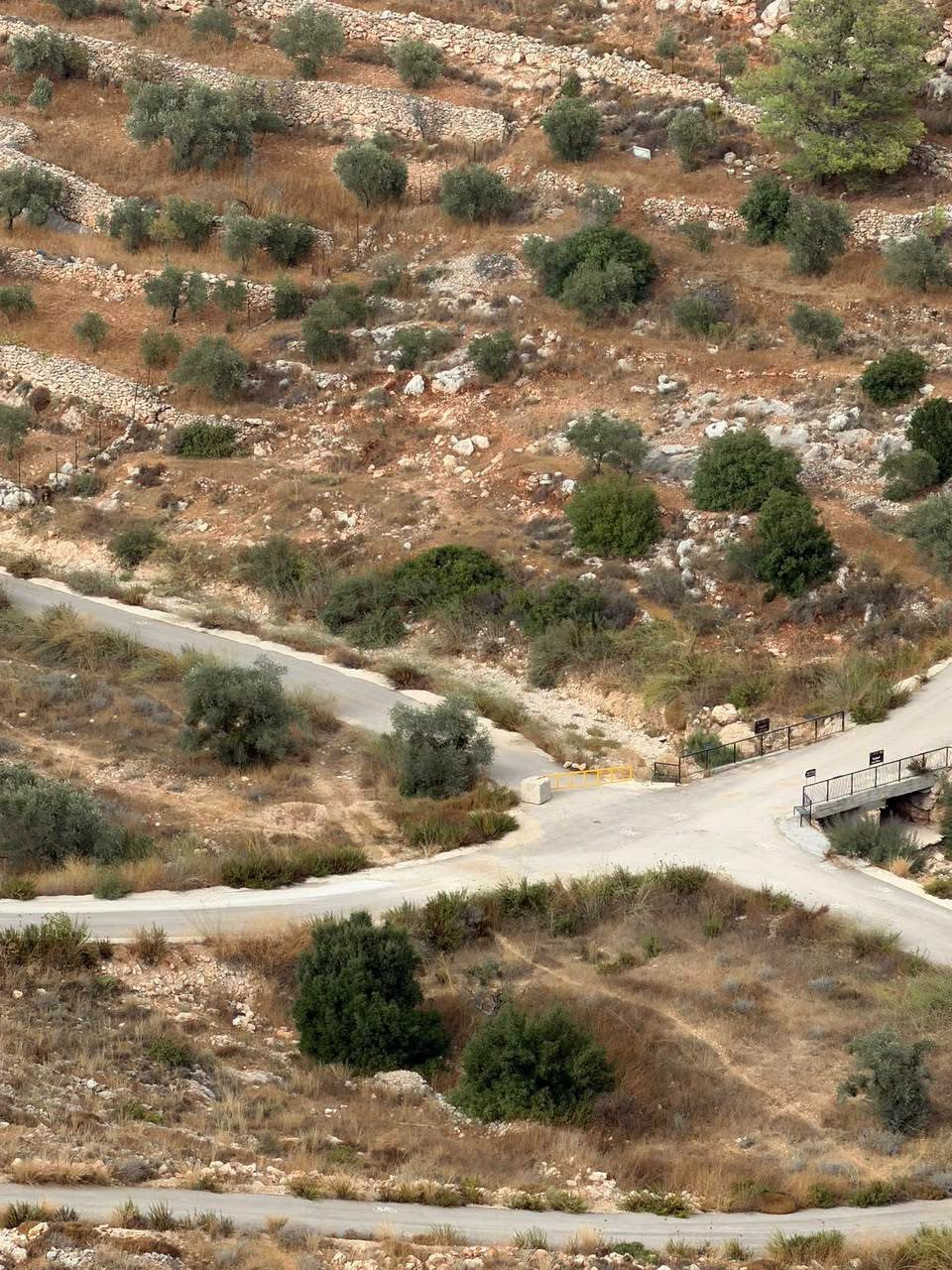 بيان حقوقي عاجل صادر عن منتدى شارك الشبابي