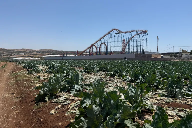  تقرير: أبرز القطاعات المتضررة من اقامة الاحتلال لموقع عسكري على  أراضي جنين