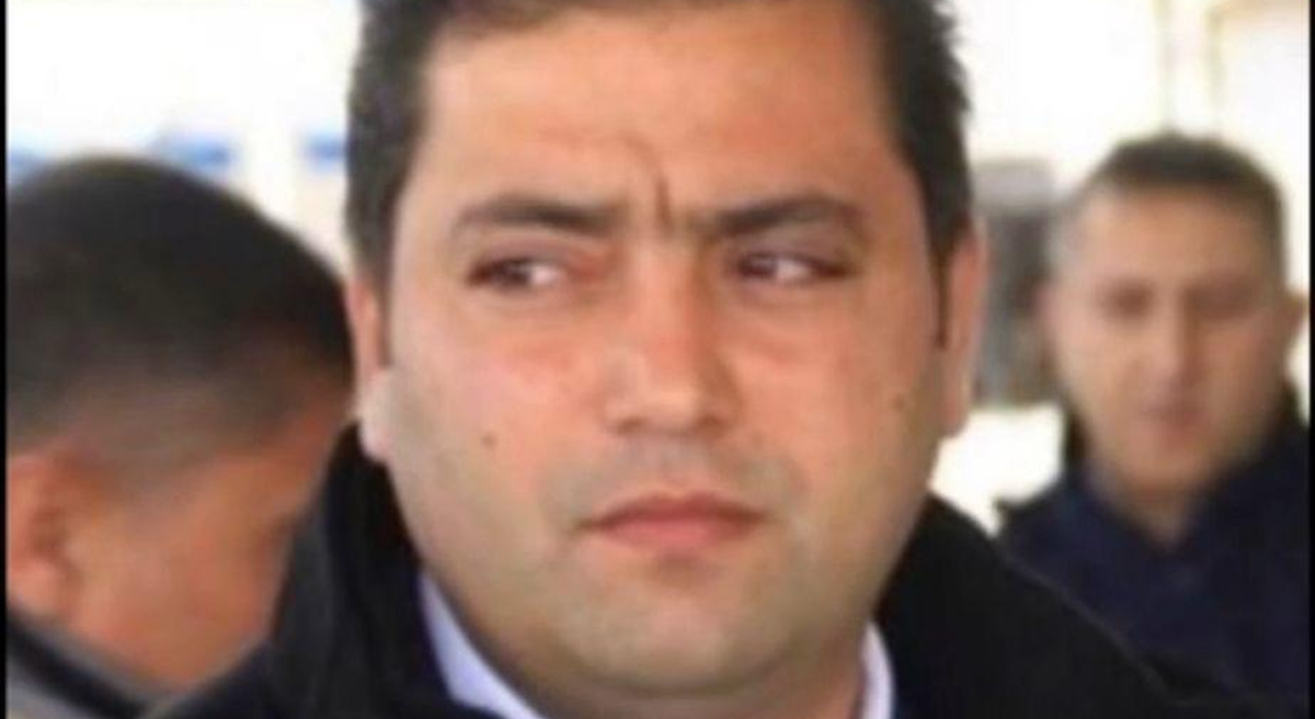 أكاديمية القطط السمان … 