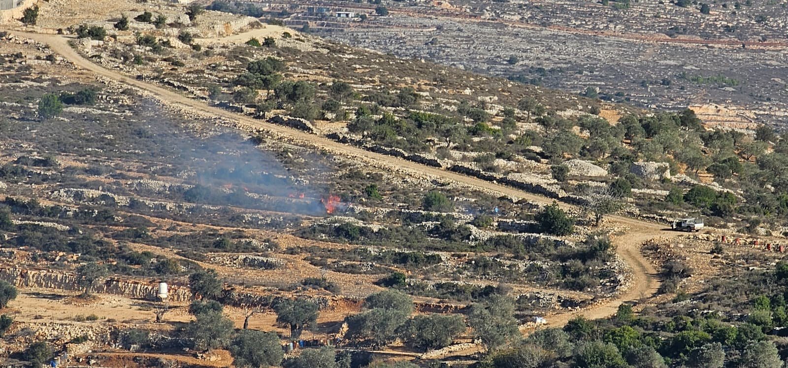 مستوطنون يحرقون أشجار زيتون ويسرقون معدات زراعية في عطارة