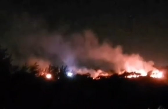 مستوطنون يحرقون أشجار زيتون في مجدل بني فاضل