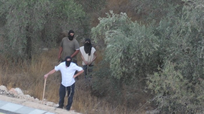 "الأونروا": تصاعد عنف المستوطنين في الضفة إلى أعلى مستوى منذ أكثر من عقد